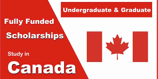 Scholarship in Canada: Opportunities and Requirements